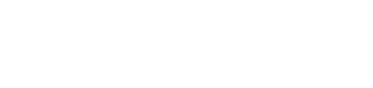 第20回日本正常圧水頭症学会［The 20th Annual Meeting of the Japanese Society of NPH］